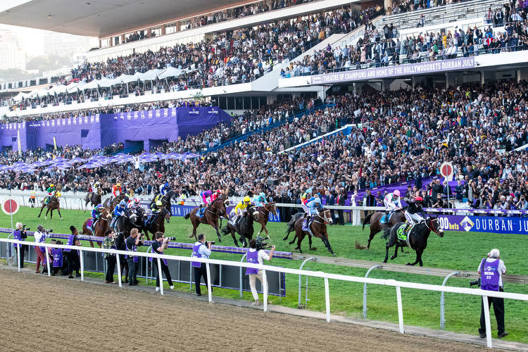 Durban July: What is the final field for the race?