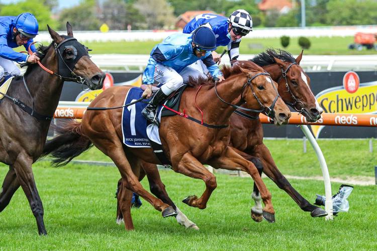 Durston Takes Out 2022 Wyong Gold Cup, Meg Salutes In Mona Lisa