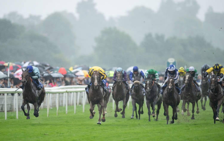 Ebor Handicap winners trends to note for Saturday's 3.35 at York