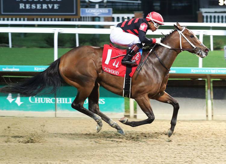 Echo Zulu Returns To Winning Ways in Dogwood