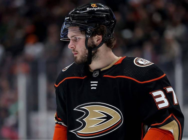 Edmonton Oilers fans know exactly what rebuilding Ducks are going through