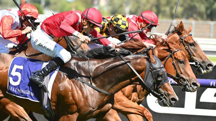Elliptical sizzles in CS Hayes Stakes wn at Flemington