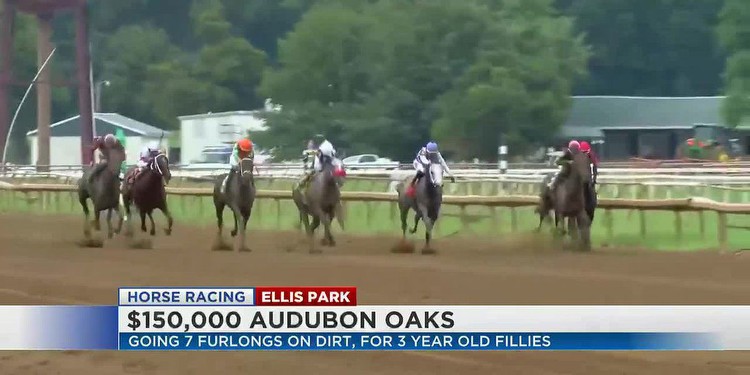 Ellis Park Derby Day Highlights: The $150,000 Audubon Oaks Stakes