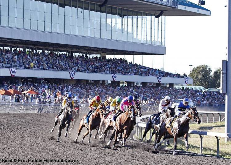 Emerald Downs Shows Gains In Handle, Purses