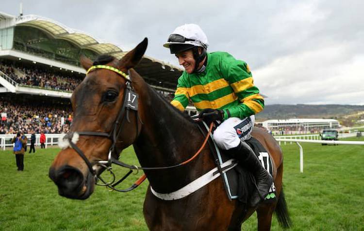 Epatante Mares' Hurdle Odds: Third Favourite To Triumph At 4/1