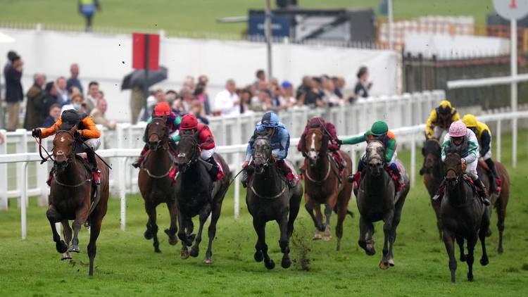 Epsom Derby 2021 racecard: Latest CONFIRMED runners, odds and TV schedule for £1.125MILLION horse race