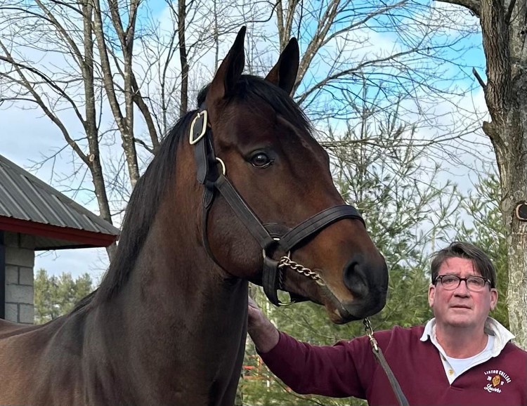 Equine connection between Thoroughbreds and Standardbreds