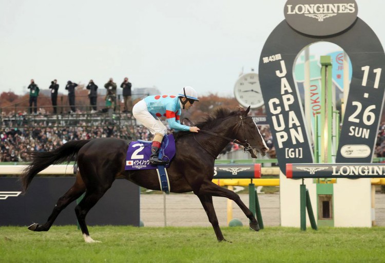 Equinox is the Overwhelming Pick for the JRA's Horse of the Year Award