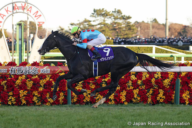 Equinox Overpowers Older Rivals To Win Japan's Arima Kinen