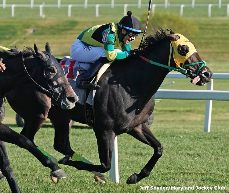 Evenly Matched Field to Line Up for $125K Maryland Million Turf