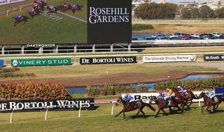 Expressway Stakes Day at Rosehill Tips, Race Previews and Selections