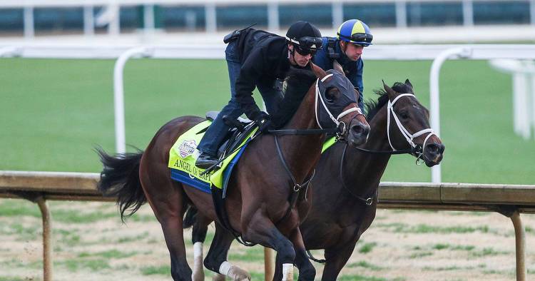 Eytan Shander: A betting guide to the 2023 Kentucky Derby
