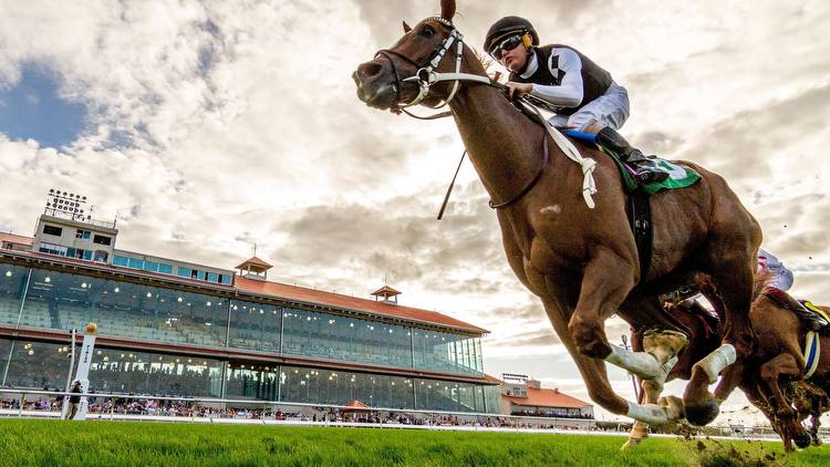 Fair Grounds: How to bet the Duncan F. Kenner S.
