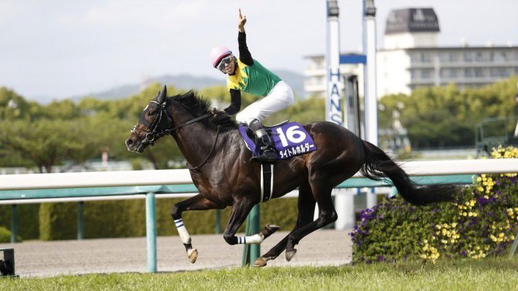 Family ties to the fore as Titleholder earns Arc price cut after Tenno Sho romp