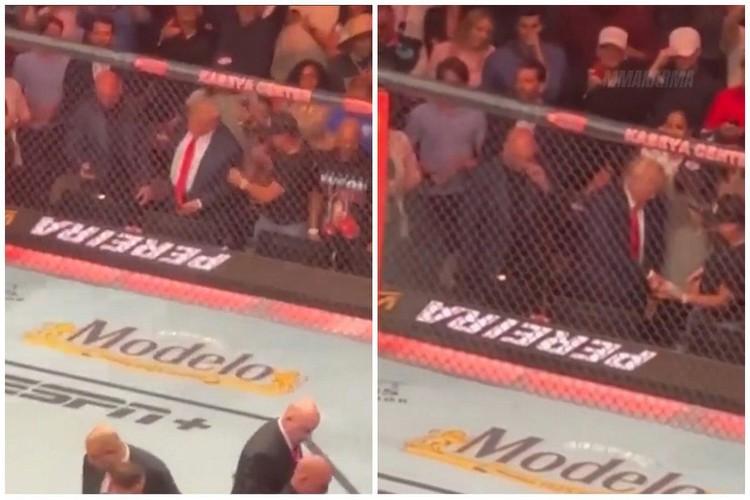 Fans Speculate After Spotting Donald Trump Hand Money to Kid Rock at UFC 287