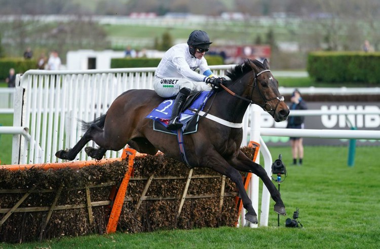 Fighting Fifth Hurdle Trends: All the stats for Newcastle showpiece