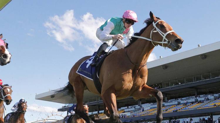 Final field and barrier draw for the Group 1 The Metropolitan at Randwick, October 1