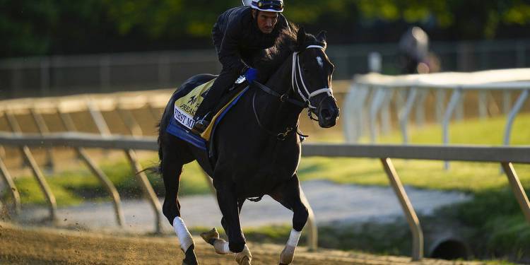 First Mission scratched from Preakness by vet 36 hours before Triple Crown race