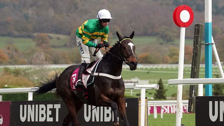 Five ratings risers from Cheltenham's Paddy Power meeting