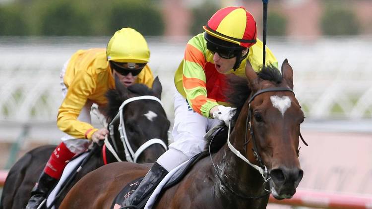 Five-time Group 1 winner's sister to debut at Geelong