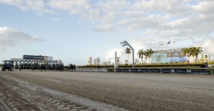 Florida Derby 2023: Post time, live stream, TV channel, horses racing for Kentucky Derby prep race