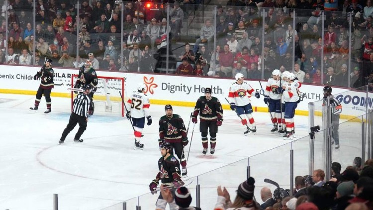 Florida Panthers vs. Vegas Golden Knights odds, tips and betting trends