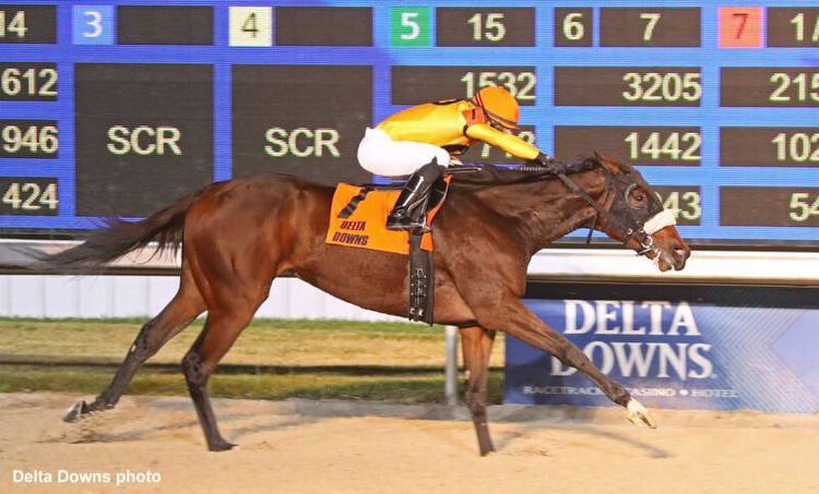 Free Like A Girl Keeps Her Delta Downs Record Perfect With Magnolia Victory