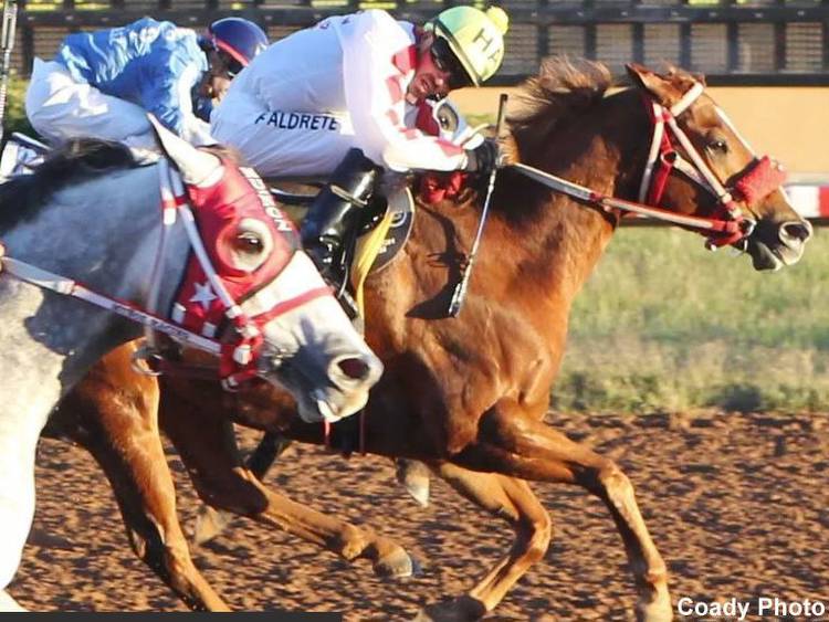 Freezing Up In New Mexico? Jockey Suspended 30 Days For 'Failure To Ride Out His Mount'