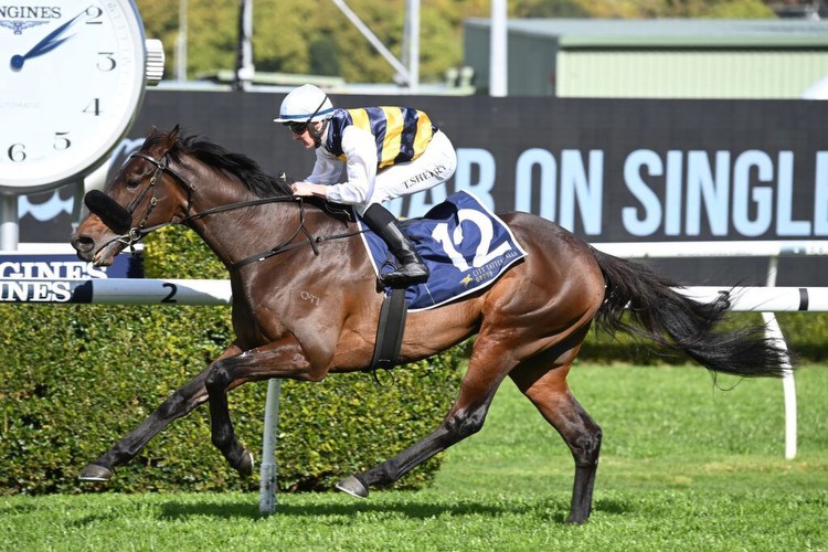 French import chasing back-to-back wins