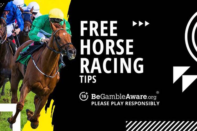 Friday July 14th horse racing betting tips: Picks for Newmarket