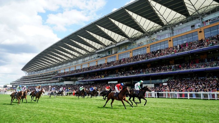 Friday racing tips: Five horses to follow at Ascot's September Racing Weekend live on Sky Sports Racing