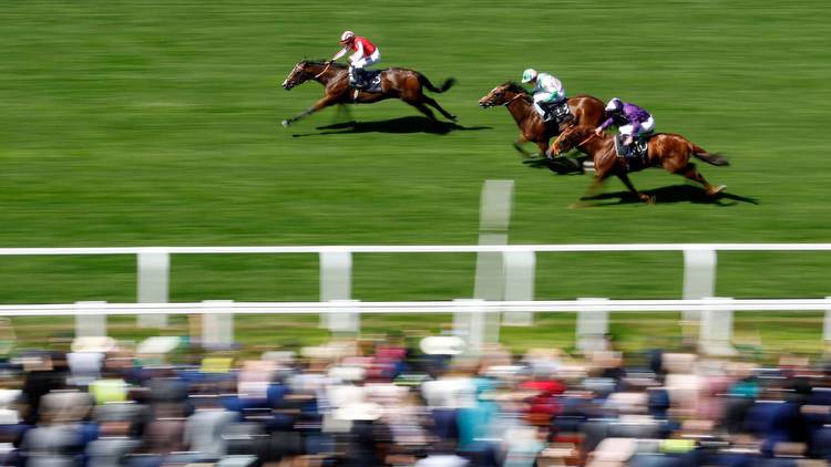 Friday's Ascot best bets and racing tips: Debutant Red Riding Hood catches the eye