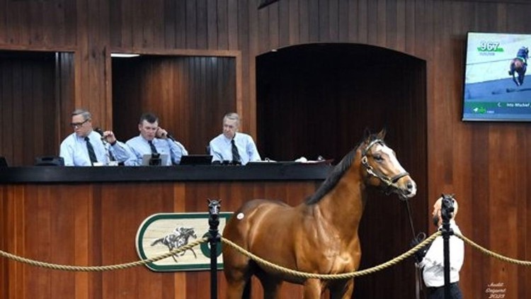 From Music Mogul to Horse Racing Success: Rich Mendez Eyes Kentucky Derby Glory