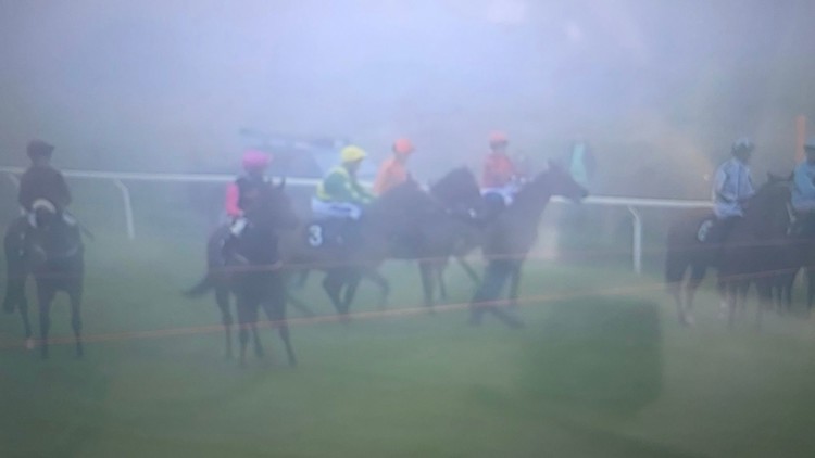 Furious punters say 'this is unreal' as carnage unfolds in Brighton race due to stall handlers being stuck in traffic
