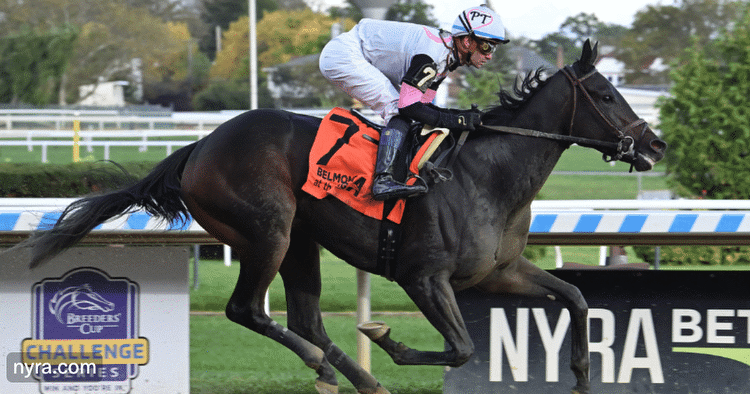 Garrity's Friday Dad's Hat Happy Hour Handicapping picks for Aqueduct, Laurel Park, the Sycamore at Keeneland