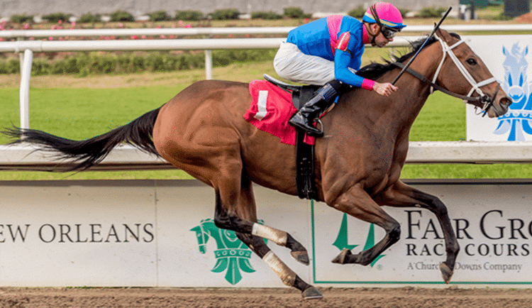 Garrity's Saturday Stakes picks 5 races at Fair Grounds NOLA, with Grade 2 Risen Star, a Kentucky Derby Prep