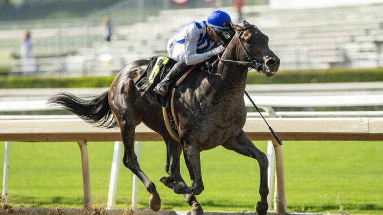 Geaux Rocket Ride lifts off in Affirmed, targets Haskell