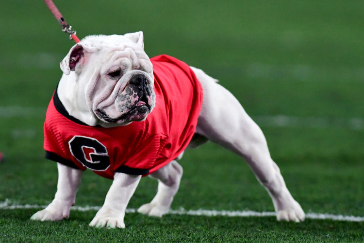 Georgia Football: Best bets for Rivalry Week in CFB