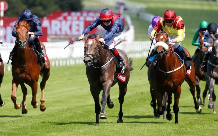 Richard Fahey weekend runners for Ascot, Ayr and Haydock