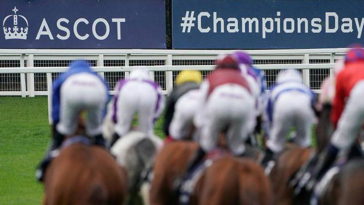 Going likely to remain 'on easy side' as Ascot clerk says outlook uncertain