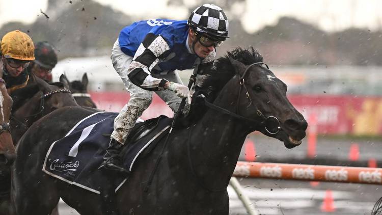 Gold Trip will get right track and conditions in Group 1 Turnbull Stakes