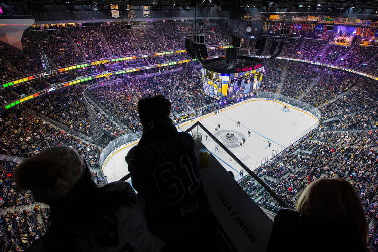 Golden Knights blasted for partnership with sports betting tout service