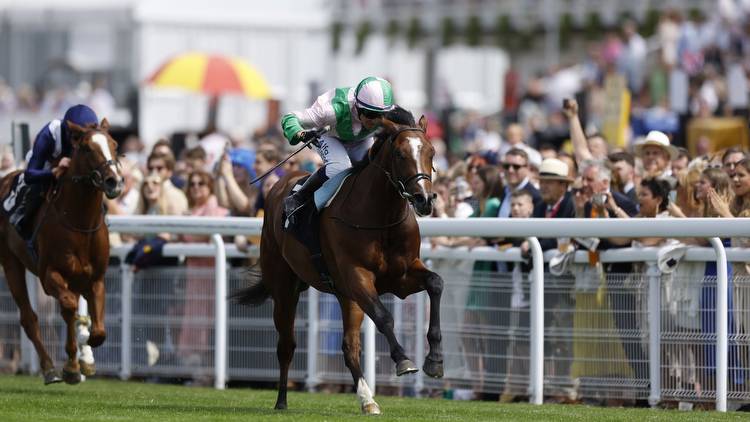 Goodwood Festival: Royal Scotsman impressive winner of Richmond Stakes to leave Paul and Oliver Cole dreaming of more