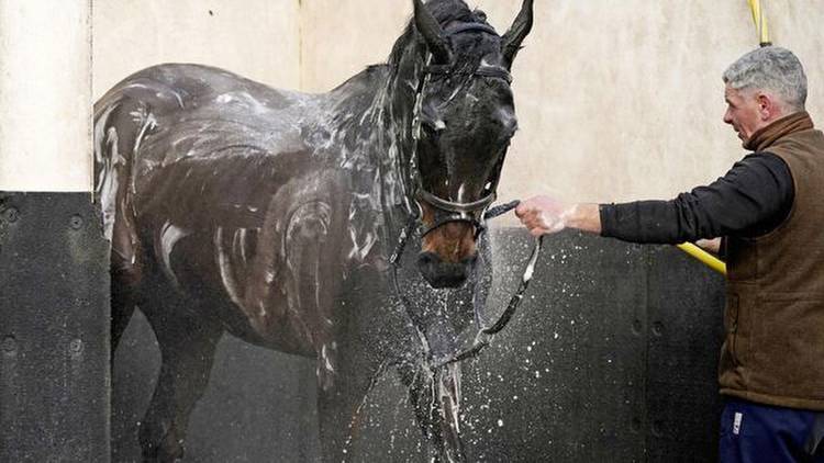 Gordon Elliott confident reformed character Conflated can play in Gold Cup