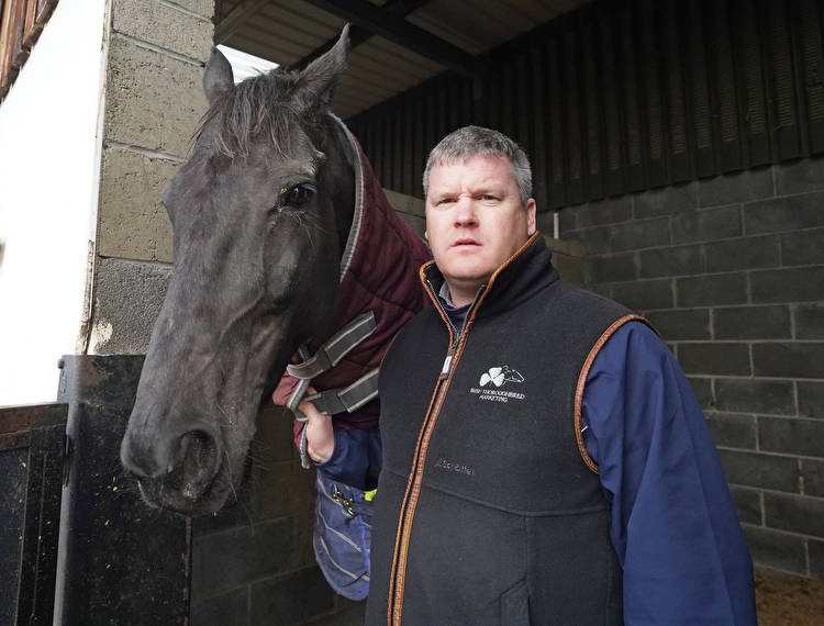 Gordon Elliott: my leading hopes for the Cheltenham Festival