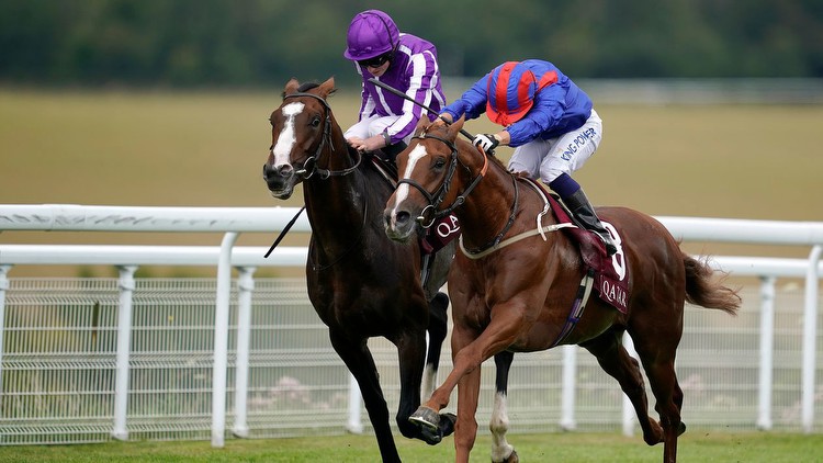Gordon Stakes report: Nayef Road too tough for Constantinople
