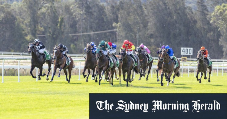 Gosford races Wednesday: Lovero one to watch