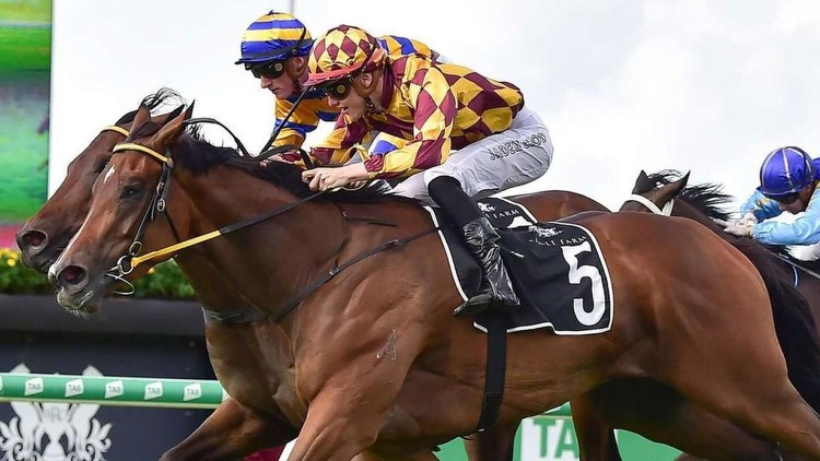 Graeme Carey's Eagle Farm preview and tips: $3.50 best bet