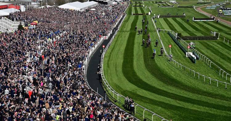 Grand National 2023 runners confirmed as full list of 40 horses racing at Aintree released