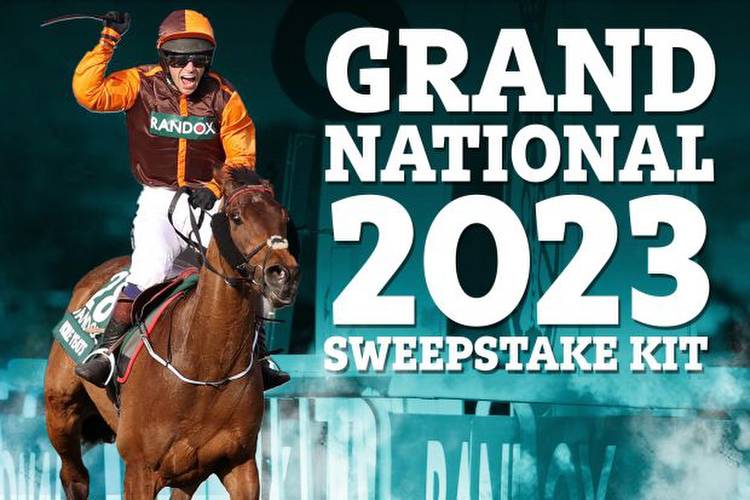Grand National 2023 sweepstake kit: Download your FREE printable runners list for Saturday's big race
